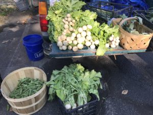 Truck bed with various fresh vegetables displayed