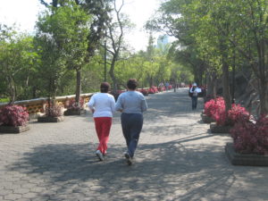Rear shot of two women walking down cobled path in afternoon