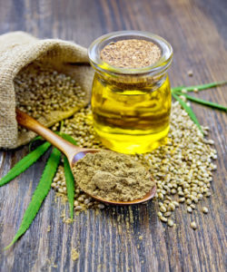 Hemp oil, hemp seeds, hemp leaf and hemp powder