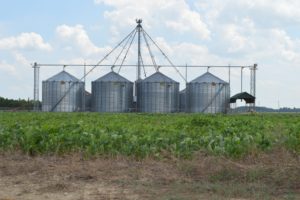 Grain bins in field