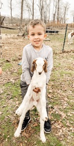 Little boy holding baby goat