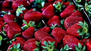 Picture of fresh picked strawberries