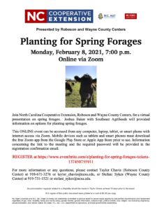 Cover photo for Planting for Spring Forages