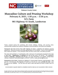 Flyer for Muscadine