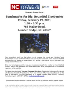 Cover photo for Benchmarks for Big, Bountiful Blueberries