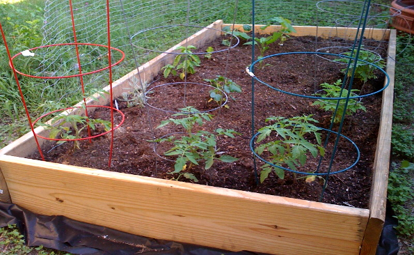 Benefits of Raised Bed Gardening | N.C. Cooperative Extension