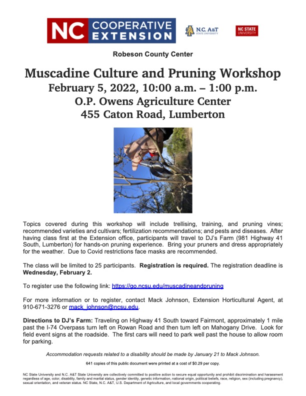 Muscadine workshop information flier