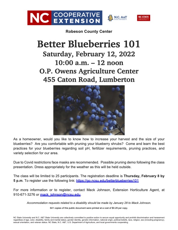 Blueberry workshop information flier
