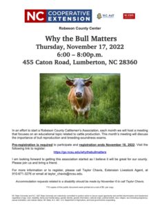 Cover photo for Why the Bull Matters