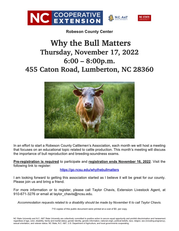 Why the Bull Matters flyer