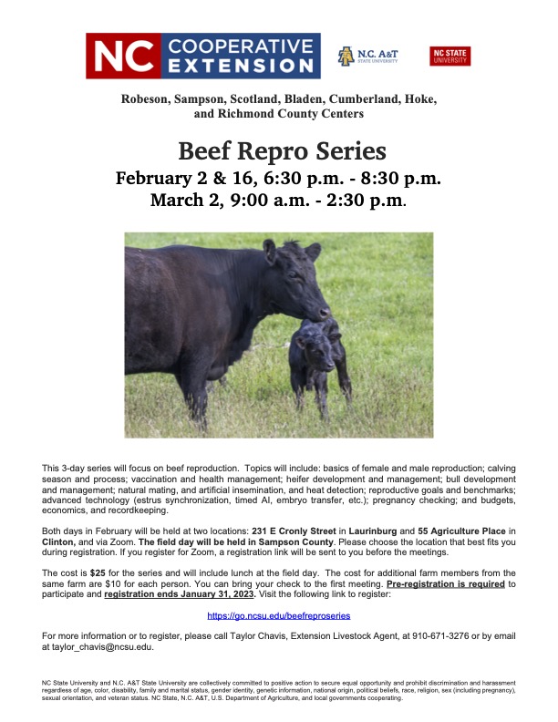 Beef Repro Series flyer.