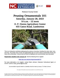 Cover photo for Pruning Ornamentals 101