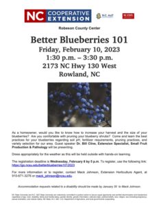 Cover photo for Better Blueberries 101