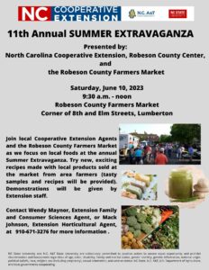 Cover photo for 11th Annual Summer Extravaganza