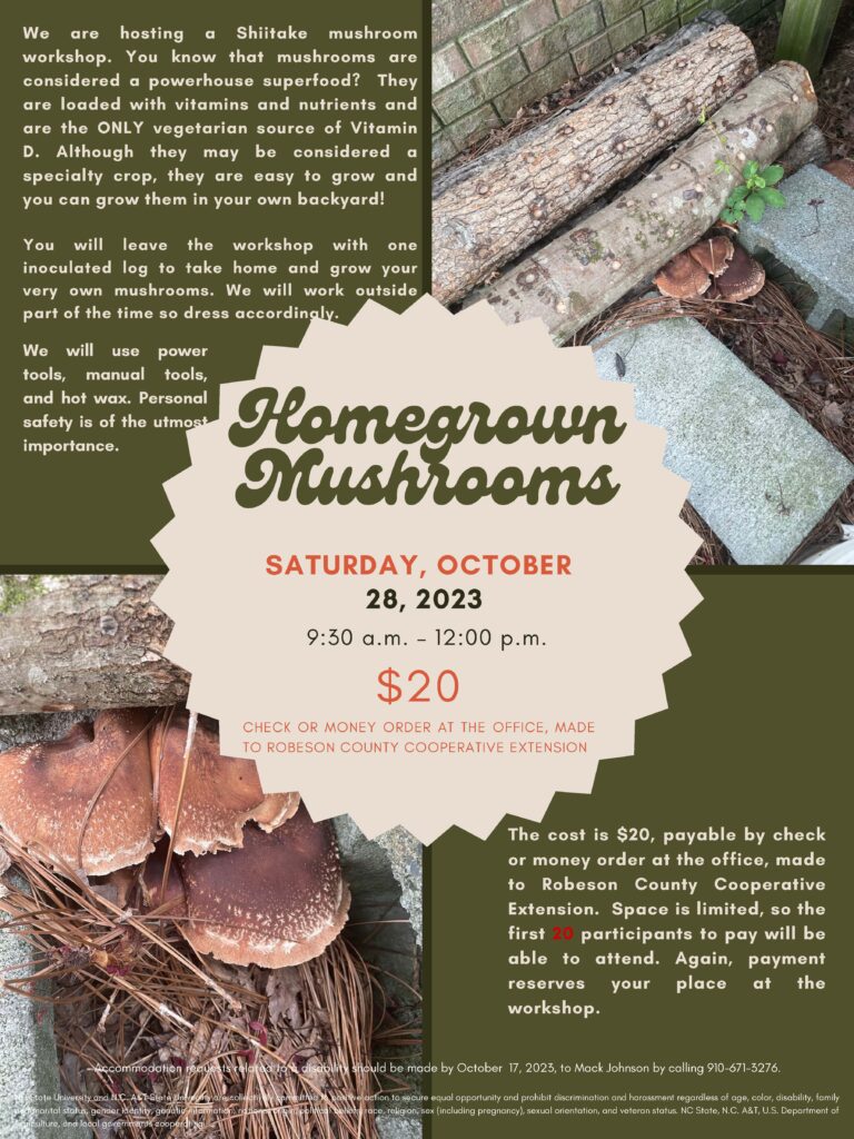 Homegrown Mushrooms Workshop | N.C. Cooperative Extension