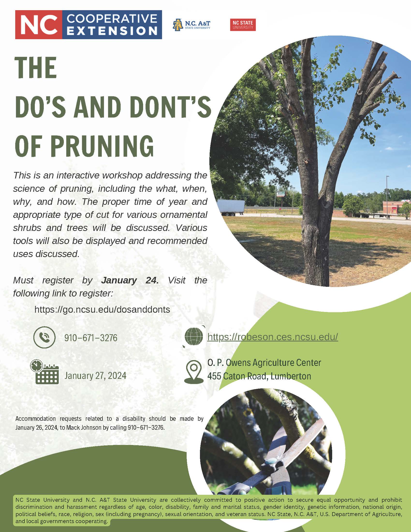 The Do’s and Dont’s of Pruning