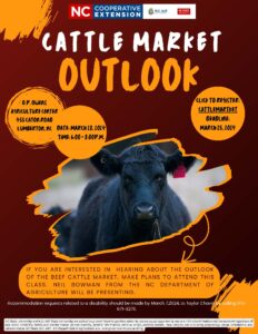 Cattle Market Outlook
