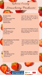 strawberry growers