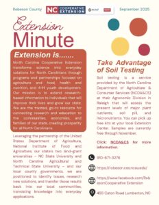 extension minute_Part1