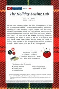 Plaid Pattern Christmas Pinterest Graphic